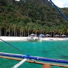 a beach with boats and palm trees in the background