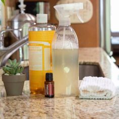 a counter top with bottles, soap and other cleaning products on it next to a potted succulent