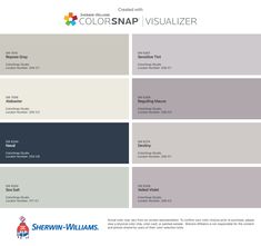 the color scheme for colorsnap visualizer is shown in gray, blue and white