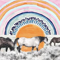 three horses are grazing in the grass under an orange and blue sky with rainbows