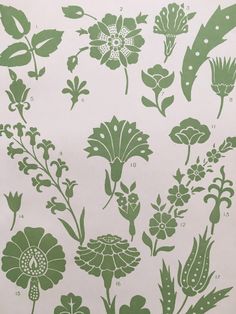 an image of various flowers and leaves on a white sheet with green trimmings