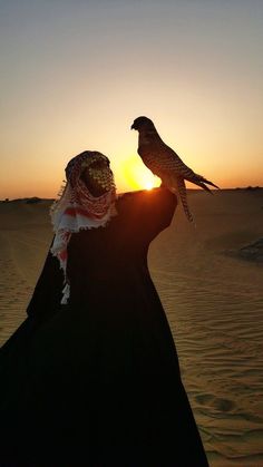 a woman holding a bird on her arm in the desert at sunset or sunrise time