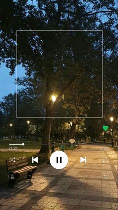 an empty park at night with lights on the trees and benches in the foreground