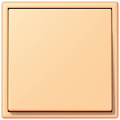 a square light switch plate with an empty cover on the front and back side, in gold