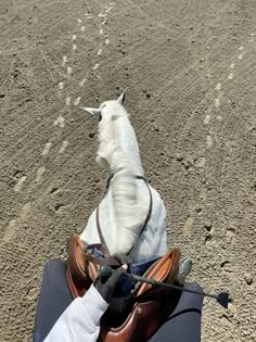 a white horse standing on top of a dirt field next to a person's foot