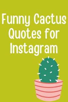 a cactus in a pot with the words funny cactus quotes for instagram on it