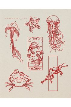 some red ink drawings on white paper with sea animals and jellyfishs in them