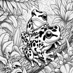 two black and white frogs sitting on top of a tree branch in the jungle coloring page