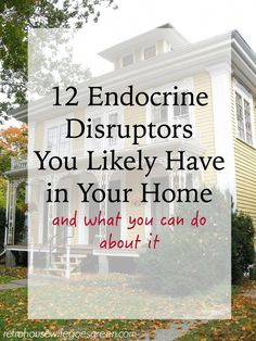 Endocrine disruptors are chemicals that can cause problems with your endocrine system. You likely have many in your home right now. Learn how to avoid them. Endocrine Disruptors, Retro Housewife, Endocrine System, What You Can Do, Go Green, Chemicals, Right Now, Canning, Green