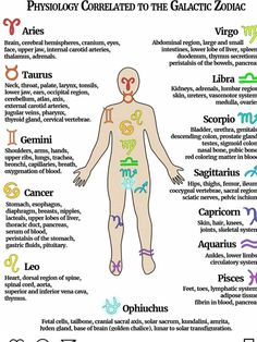 the anatomy of the human body with all its major symbols and their corresponding names in english