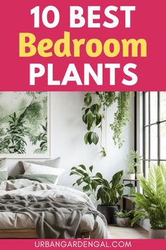 plants in a bedroom Indoor Plants Decor Bedroom, Indoor Plants Bedroom, Bathroom Plants Decor, Bedroom Plants Decor, Best Plants For Bedroom, Low Maintenance Indoor Plants, Indoor Plants Low Light, Tropical Bedrooms, Hanging Plants Indoor