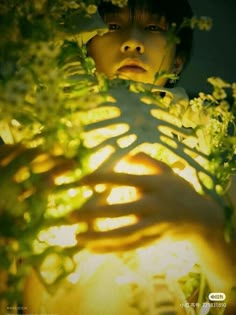 a young boy is looking through some plants