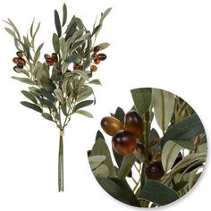 Dimensions (Varies Upon Shaping): 16.25" H x 6.75" W x 6.75" D Plant Type: Olive Material: Fabric, Foam & Plastic Color: Green, Brown & Black Care & Safety: Indoor Use Only Quantity: 1 Freshen your home with natural arrangements—no watering required! This magnificent Mini Olive Leaf Bundle features three plastic stems with woven leaves and foam olives in black and brown colors. Place it in a vase with other bunches to complete an elegant home display. Olive Branch Christmas Decor, Natural Arrangements, Olive Decor, Pew Decorations, Floral Arrangements Diy, Floral Branch, Elegant Home, Olive Leaf, Olive Branch