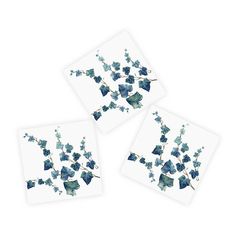 Three napkins featuring watercolor illustrations of ivy leaves on a white background, inspired by *The Secret Garden* series. Edible Seaweed, Coastal Birds, Edible Wild Plants, Bird Poster, The Secret Garden, Wild Plants, Animal Posters, Square Card, Beautiful Posters