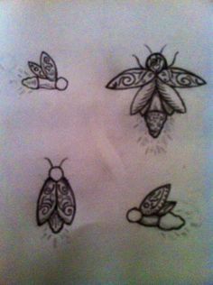 four different bugs drawn on white paper