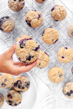 a hand holding a blueberry muffin over a white plate with more muffins in the background