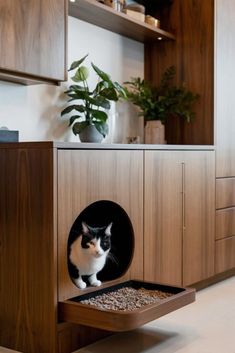 a black and white cat sitting in a wooden litter box on top of a counter