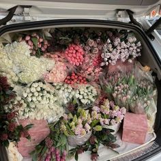 a bunch of flowers that are sitting in the back of a car's trunk