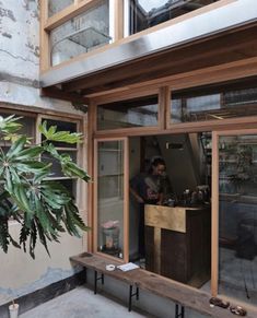 a man standing behind a counter in front of a window next to a potted plant