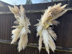 two dried flowers sitting on top of a wooden fence