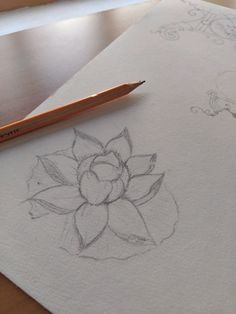 a pencil is sitting on top of a piece of paper next to a drawing of a flower