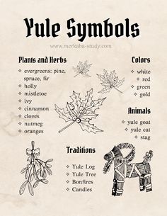 Book Of Shadows Inspiration, Yule Symbols, How To Celebrate Yule, Wicca Holidays, Indrid Cold, Winter Journal