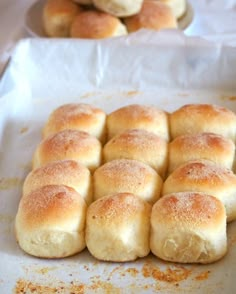 bread rolls are sitting on top of parchment paper and ready to go into the oven