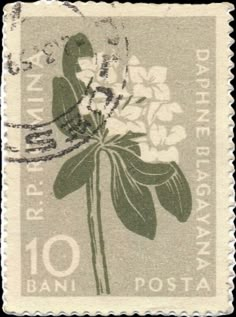 a postage stamp with flowers on it