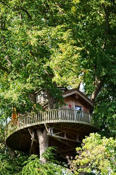 a tree house in the middle of some trees