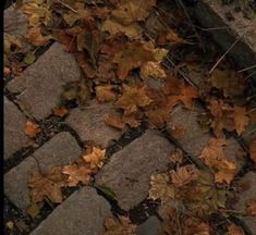 leaves on the ground next to a brick walkway