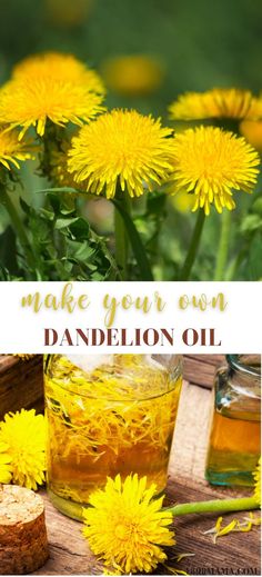 Learn how to make dandelion oil with them. You can use dandelion oil on sore muscles, minor cuts, and so much more. Dandelion oil also can go on to  make dandelion salve or ointments. Dandelion Oil, Skincare Secrets, Magia Das Ervas, Herbal Recipes, Natural Healing Remedies, Healing Plants