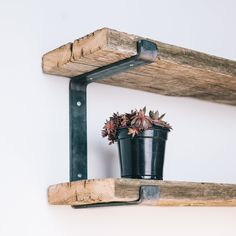 a potted plant sitting on top of a wooden shelf next to a metal pipe