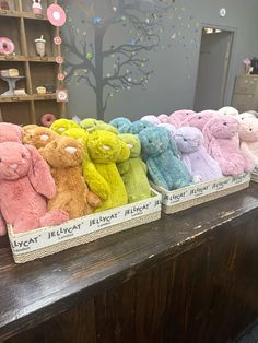 there are many different colored stuffed animals in the display case on the counter at the store