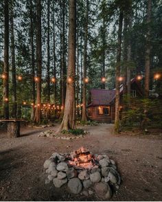 a fire pit in the middle of a forest with lights hanging from it's sides