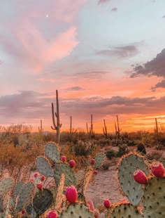 the sun is setting in the desert with many cacti and cactus plants on the ground