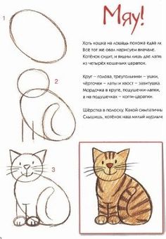 the instructions for how to draw a cat