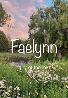 the words faglyn fairy of the lake surrounded by wildflowers and trees