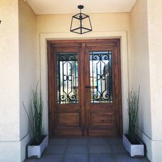 two potted plants sit in front of a wooden door with wrought iron grills