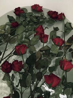 a bunch of red roses sitting on top of a white plate with water droplets all over it