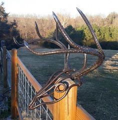 a metal deer head mounted to the side of a wooden fence next to a grassy field