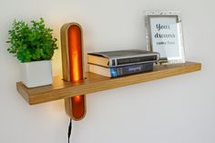 a shelf with books and a potted plant on it