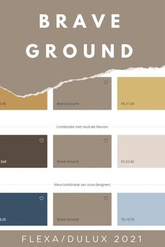 the color scheme for brave ground is shown in shades of brown, beige and blue