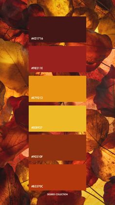 the colors of autumn leaves are shown in this color palette for fall, and it's been changed from yellow to red