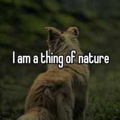 a dog with the words i am a thing of nature