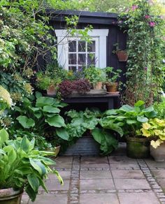 an outdoor garden area with potted plants