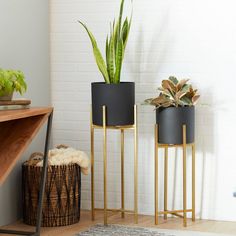 three planters with plants in them sitting on a shelf next to a rug and basket