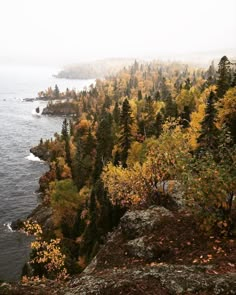 the trees are changing colors in the fall by the water's edge, and fog is covering the landscape