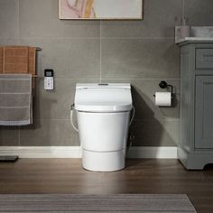 a white toilet sitting in a bathroom next to a sink and towel rack on the wall