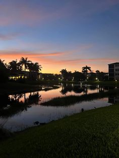 the sun is setting over a lake and palm trees in the background, with buildings on either side