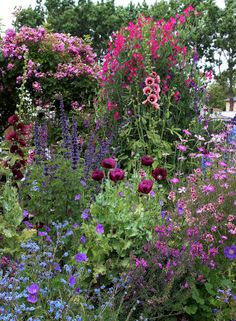 a garden filled with lots of different colored flowers